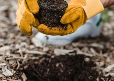 Educación y Control Ambiental